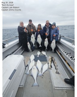 What a lineup! This crew brought in a beautiful deck full of halibut plus a couple of nice lingcod to round it out — smiles all around says it all. Thanks for fishing with Captain Lyle and Captain Jimmy aboard the Europa, we had a blast out there with you. Ready to fill your own cooler? Give us a call and let's get you out on the water.  #HomerHalibutHunters #AlaskaFishing #Homer #Halibut #CatchOfTheDay