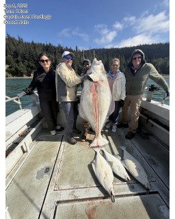 With the Homer sport fishing season slowly winding down, boats starting to pack up for the year and everyone is starting grow a few more gray hairs.. Homer Halibut Hunters are still out hunting down that next once in a lifetime catch!