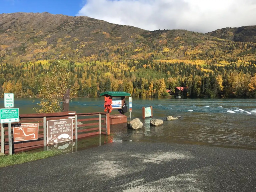 Seasonal Flooding Along The Kenai River Is A Part Of The River's Lifecycle